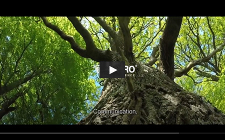 AM Intelligent Homes